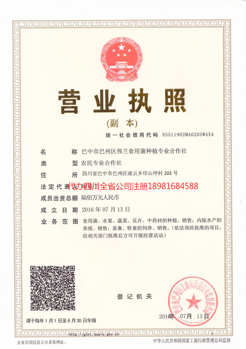 北票北票伟兰食用菌种植专业合作社